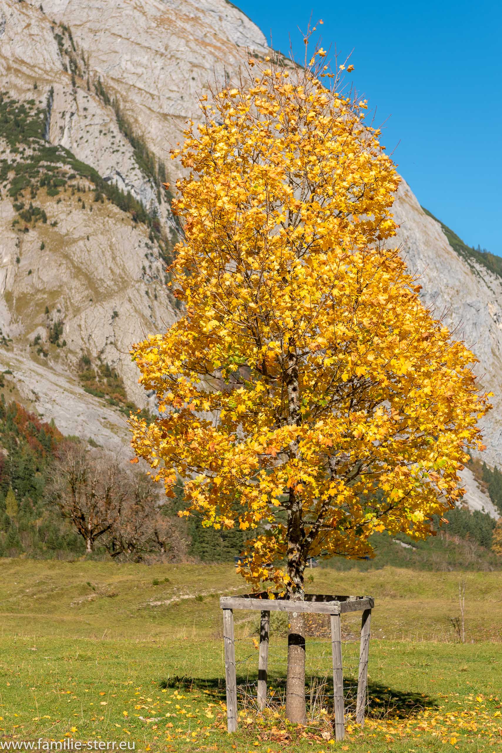 Herbst im Großen Ahornboden