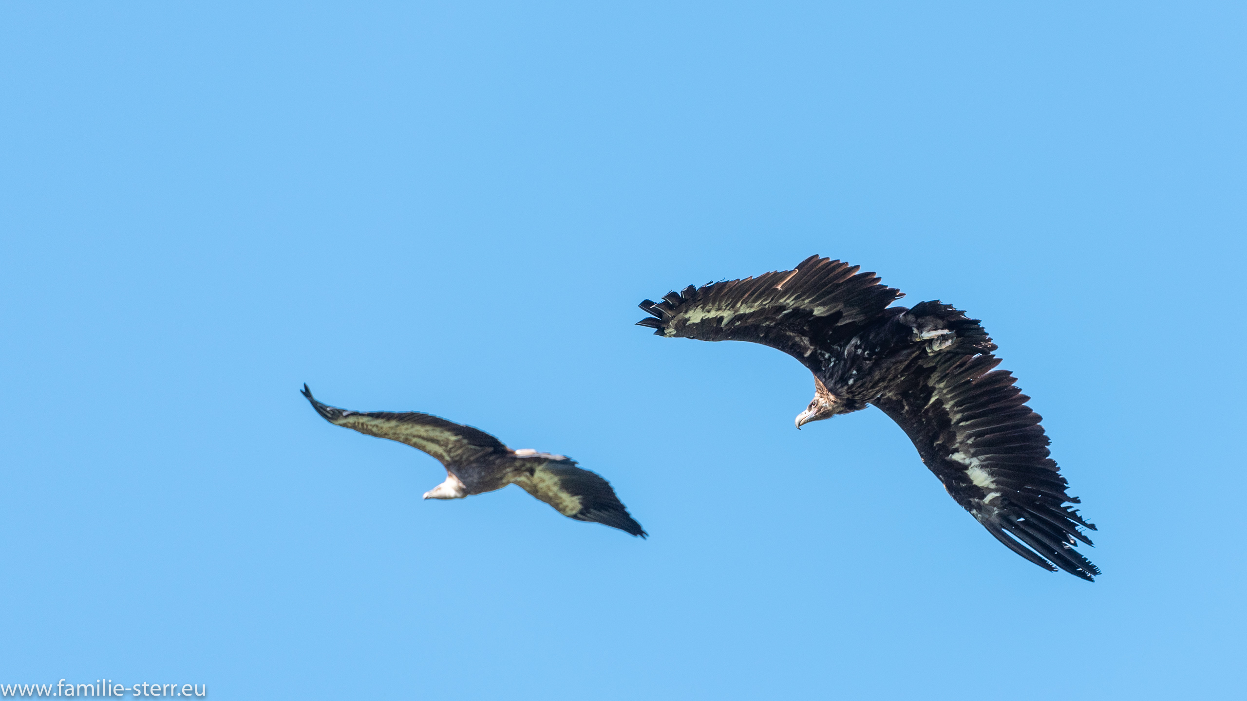 Erlebnisburg Hohenwerfen