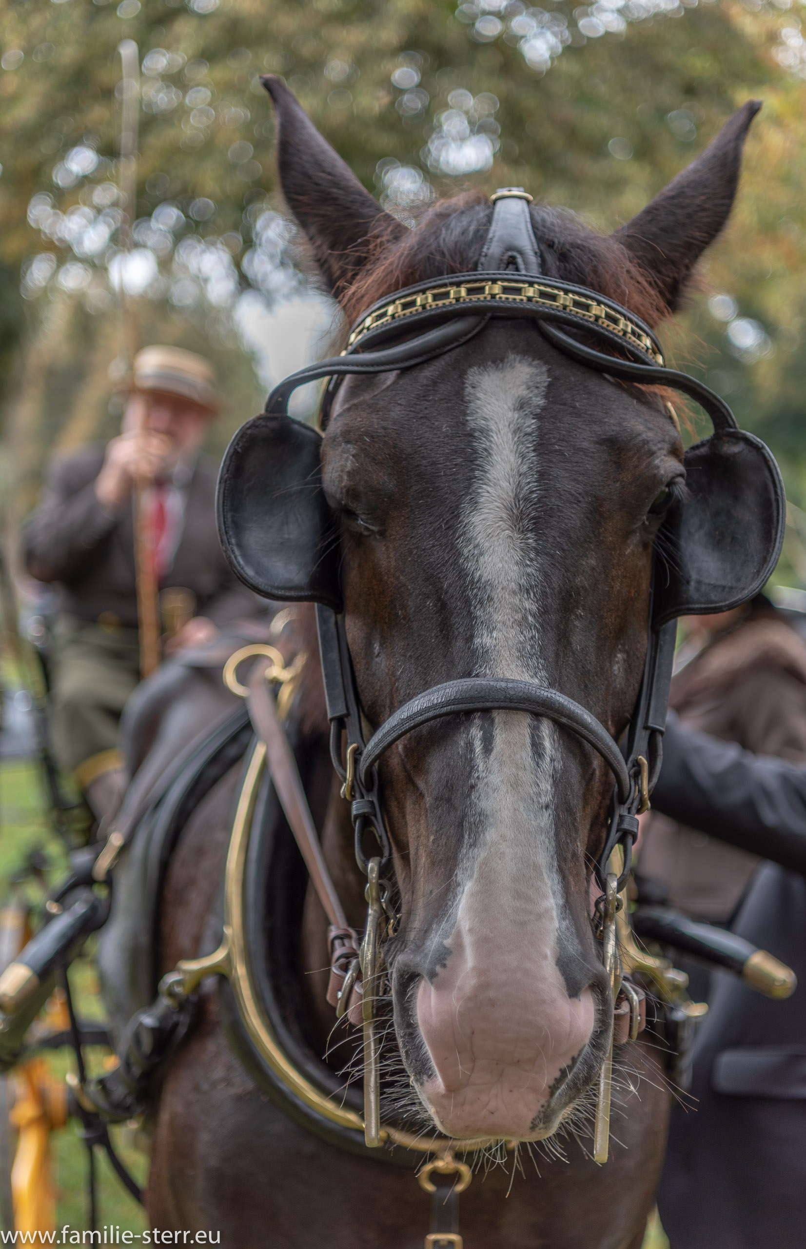 Schloss Oberschleissheim