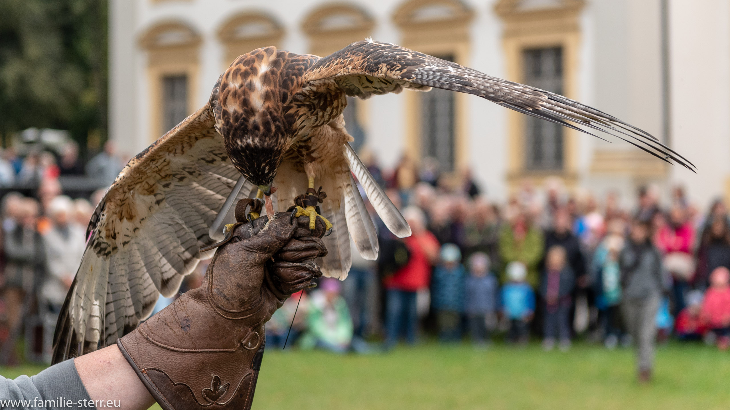 Schloss Oberschleissheim