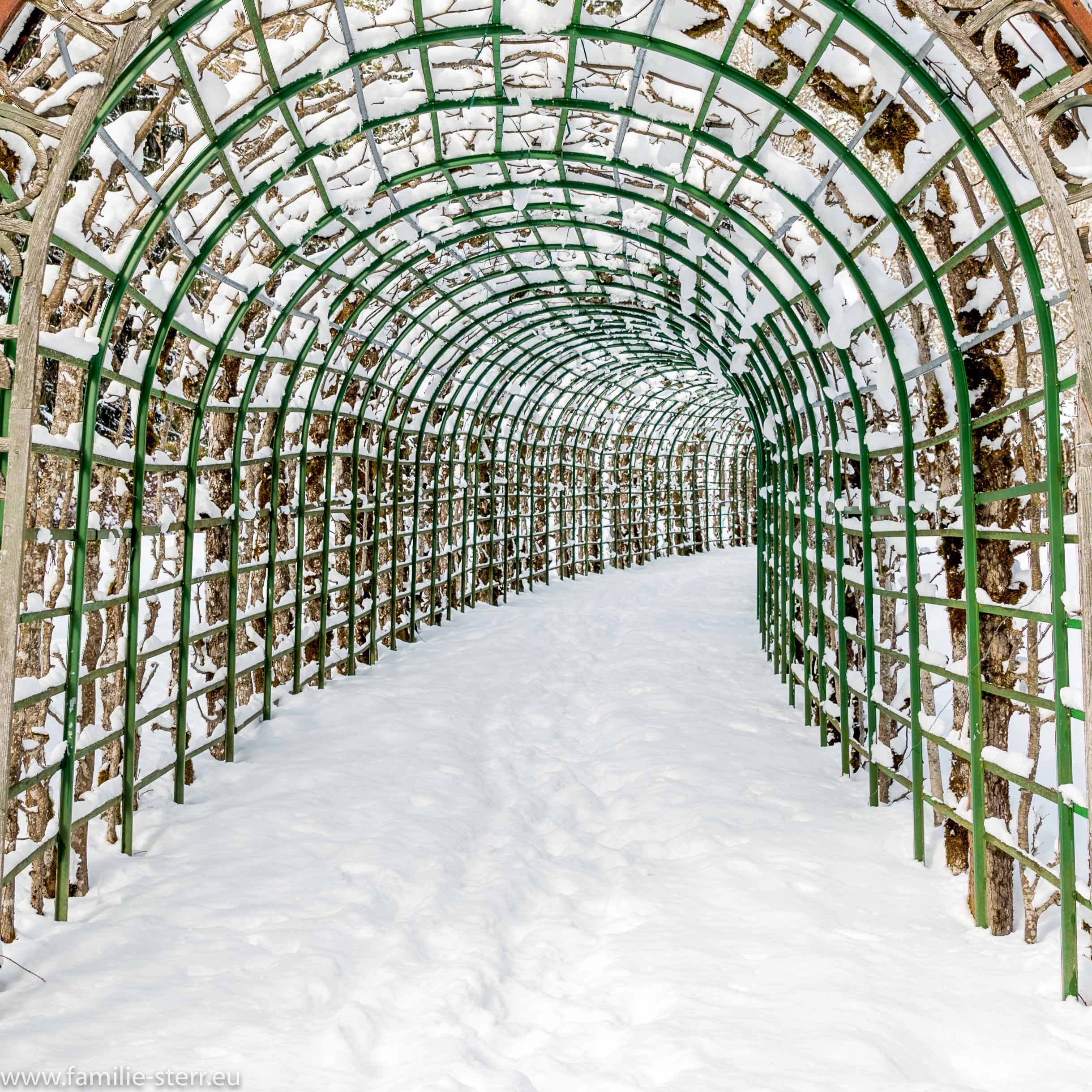 Schloss Linderhof im Winter 13
