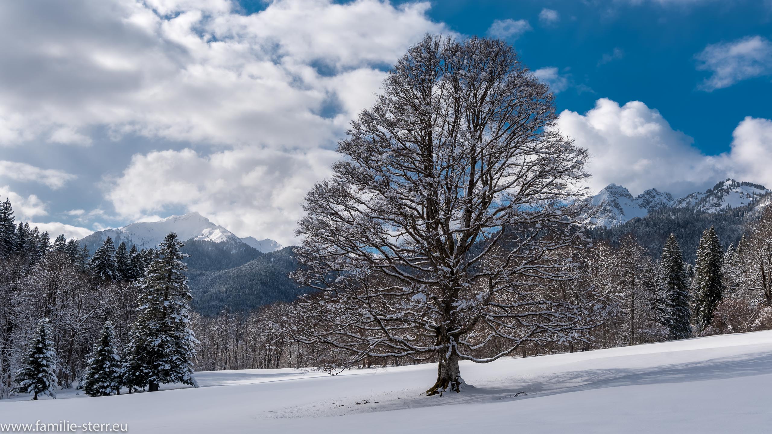 Schloss Linderhof im Winter 17