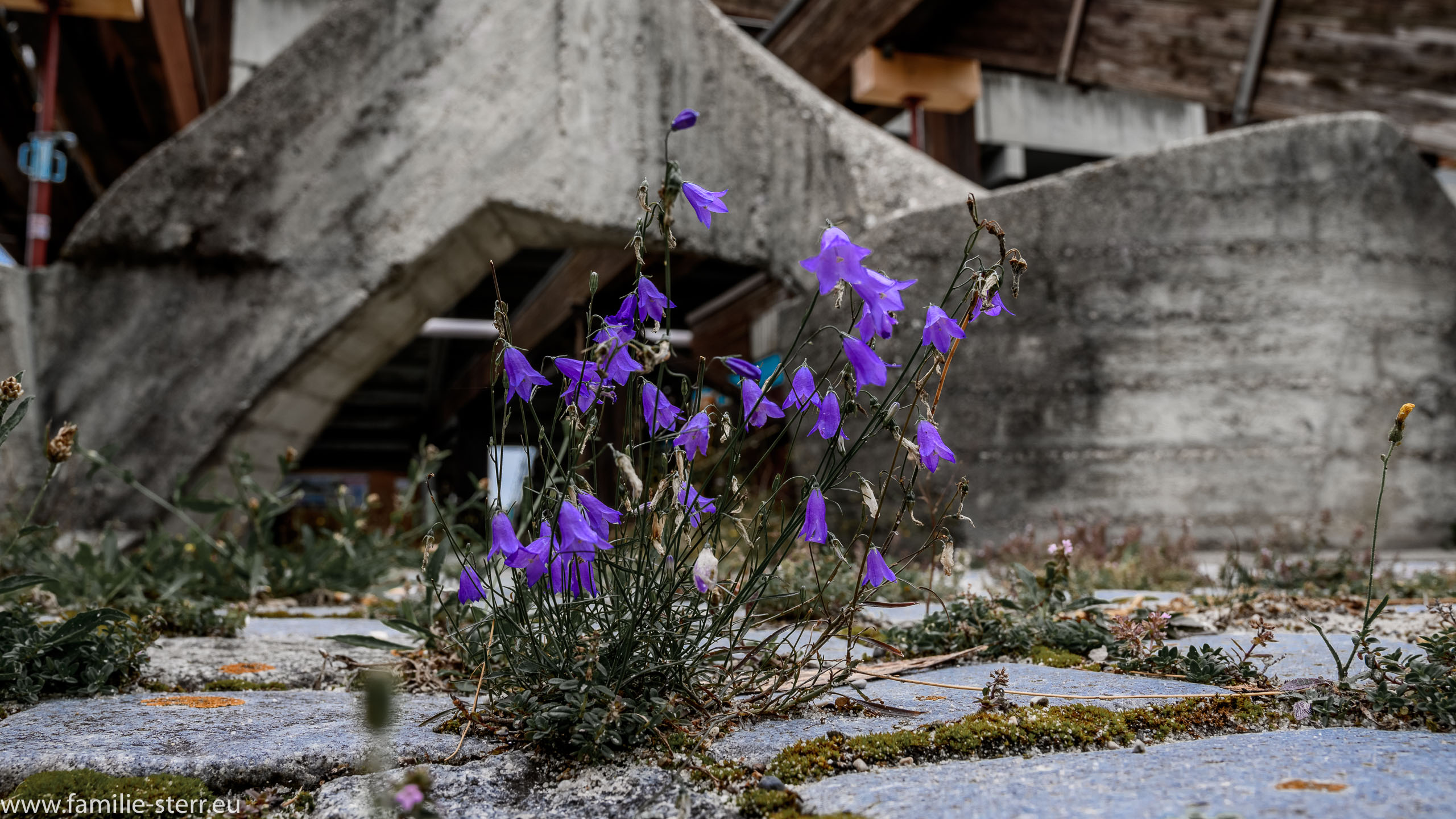 Regattastrecke München