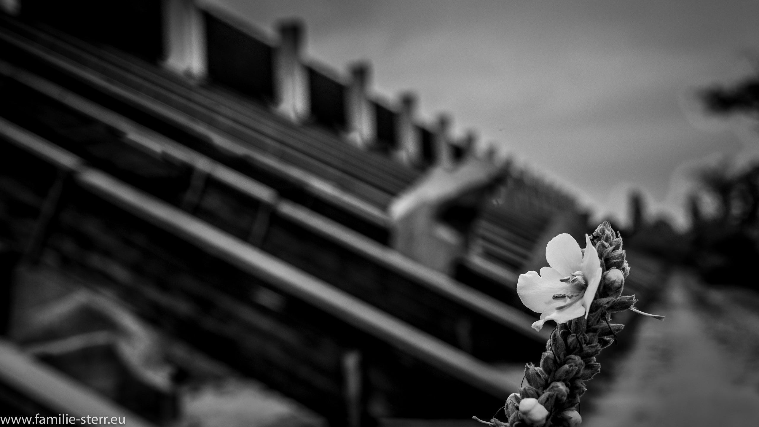 Regattastrecke München