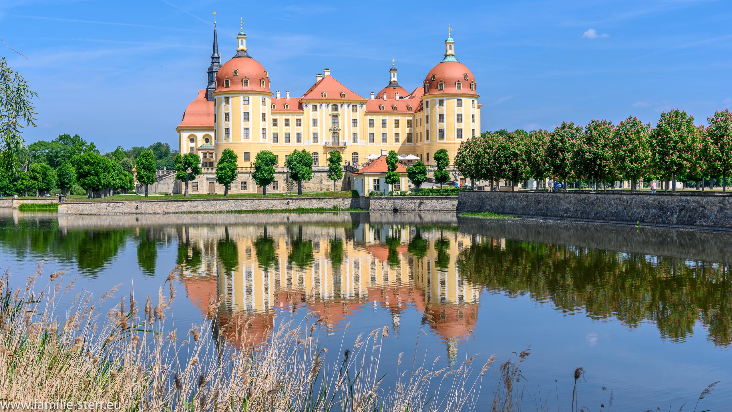 Schloss Moritzburg