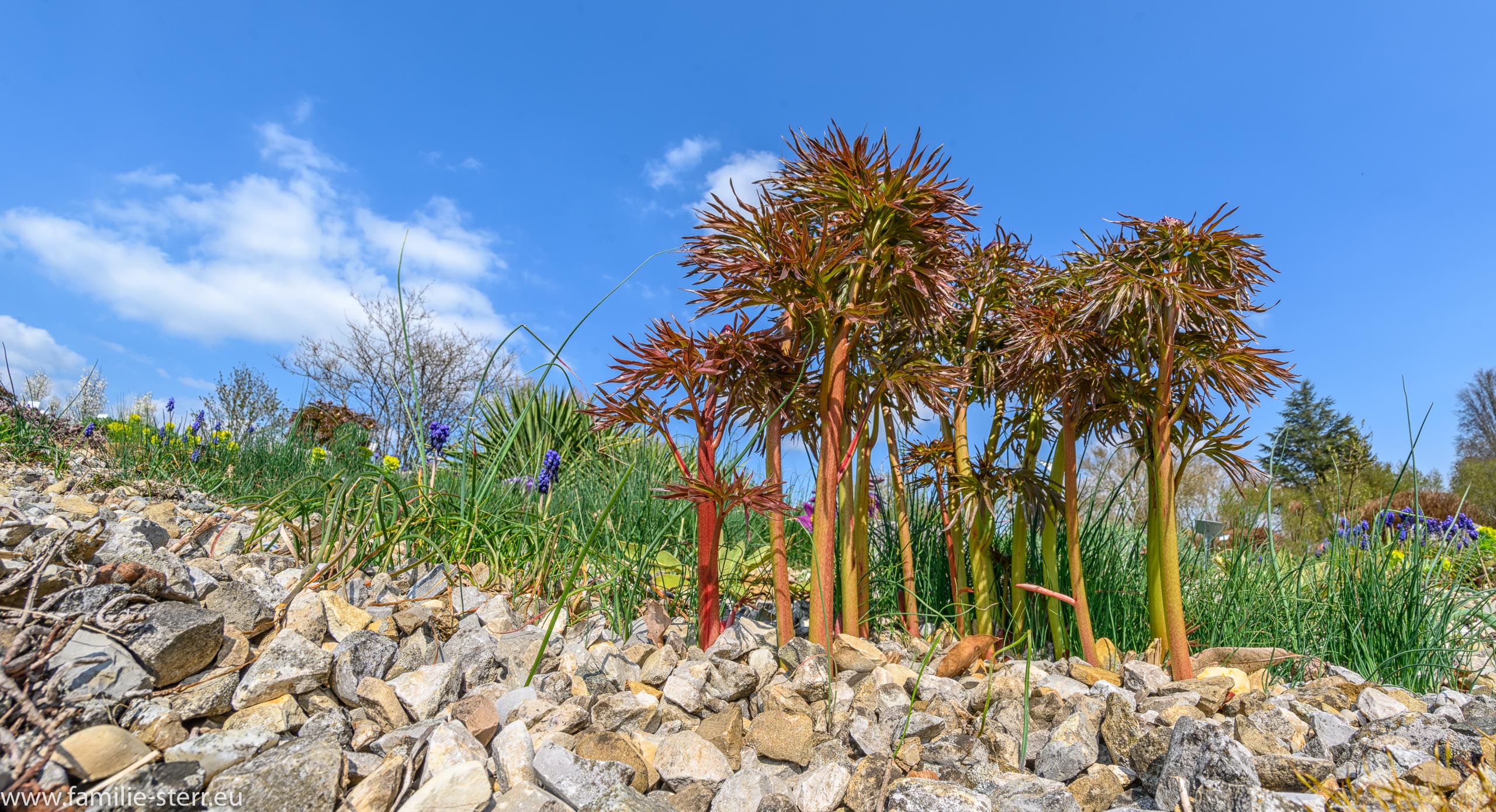 Sichtungsgarten Freising / Weihenstephan