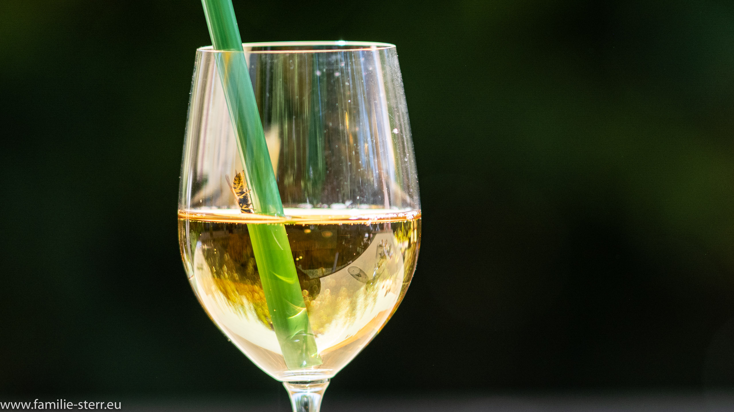 Hans-Freimuts Geburtstagsfeier