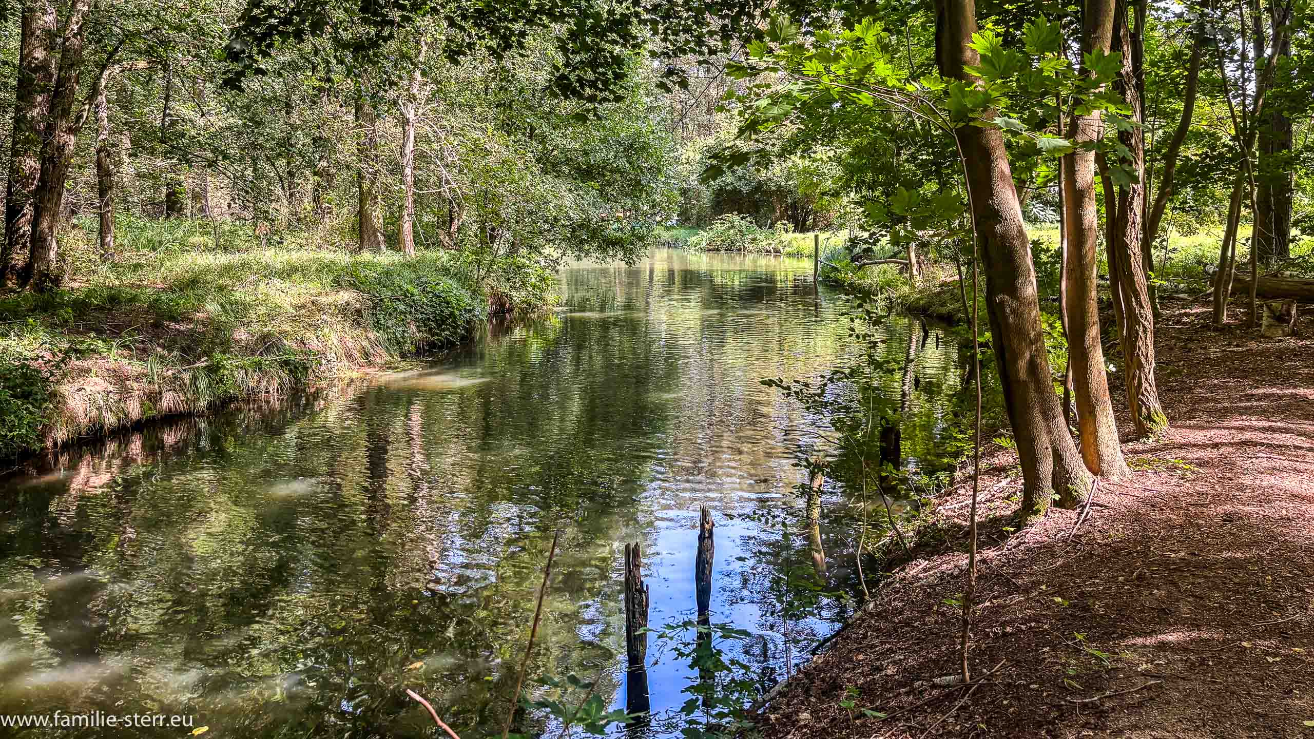 Spreewald