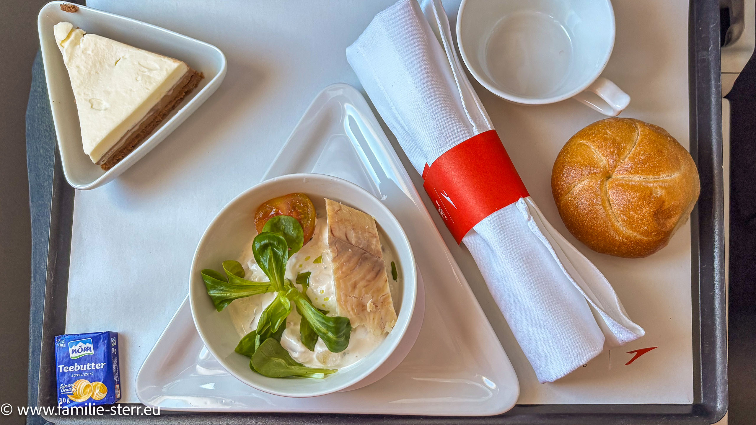 Austrian Flug MUC-VIE