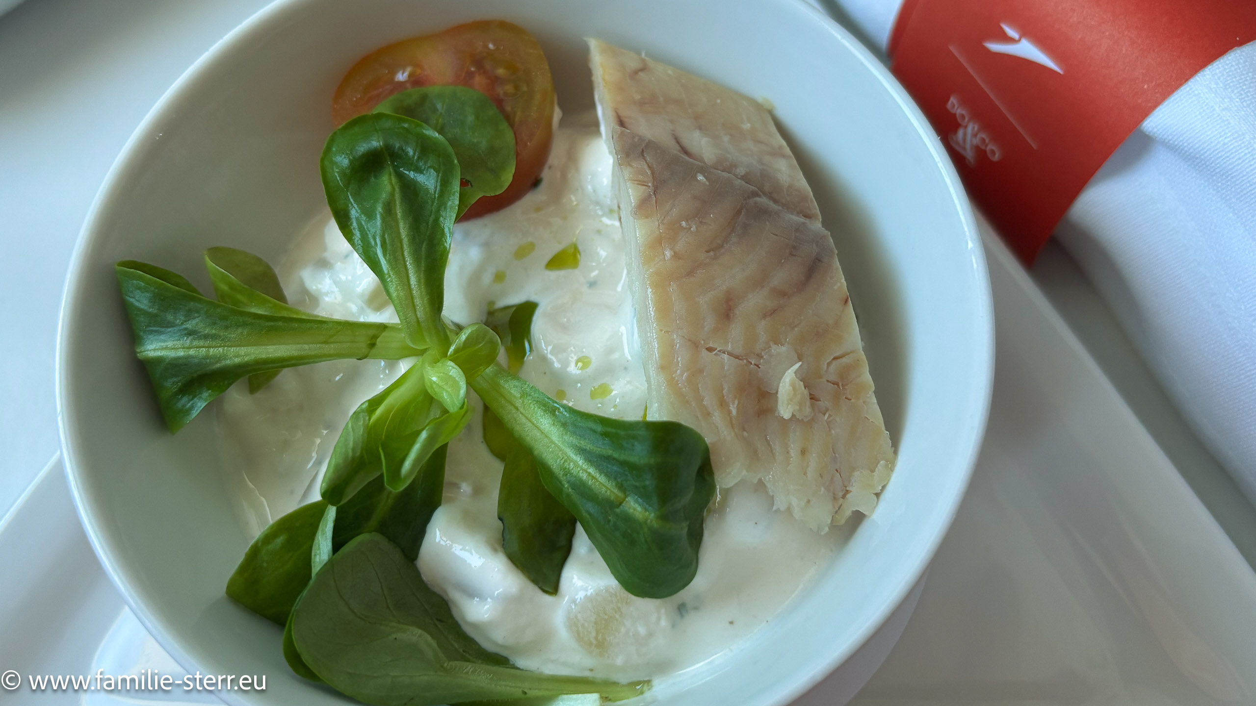 Austrian Flug MUC-VIE