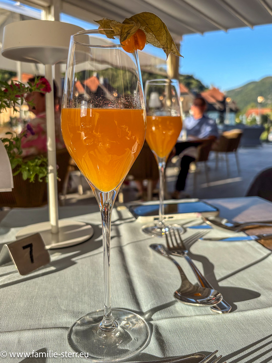 Donauterrasse Residenz-Wachau Aggsbach