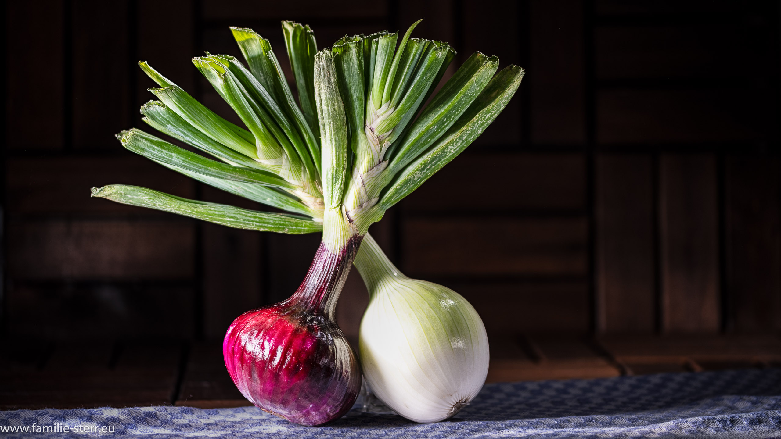 Gemüse - Zwiebeln