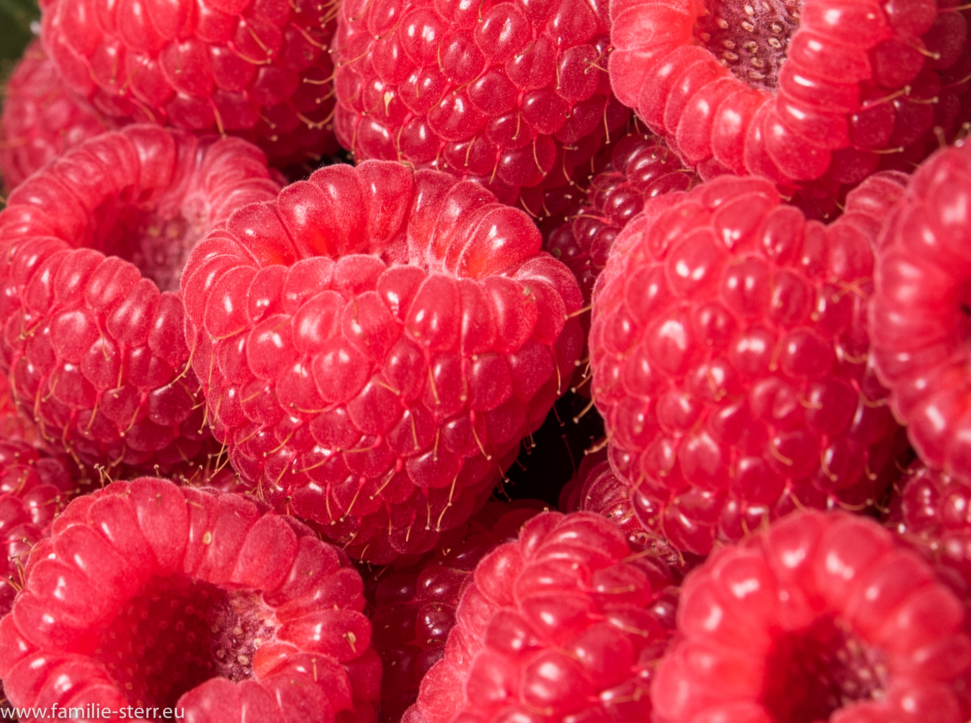 Himbeeren