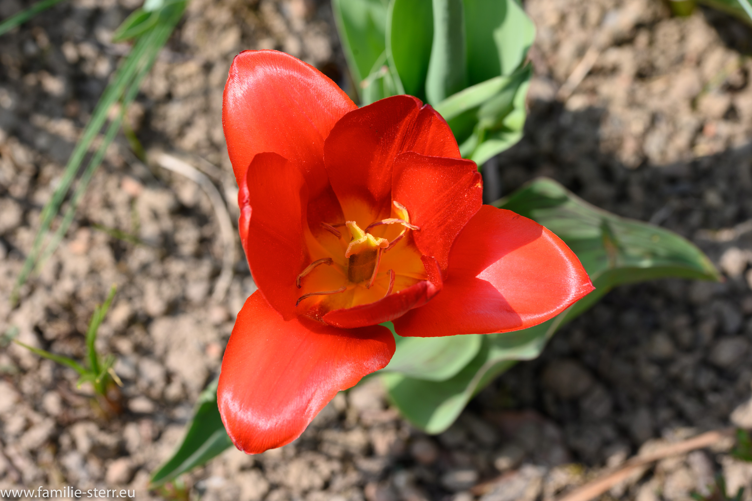 Sichtungsgarten Freising / Weihenstephan