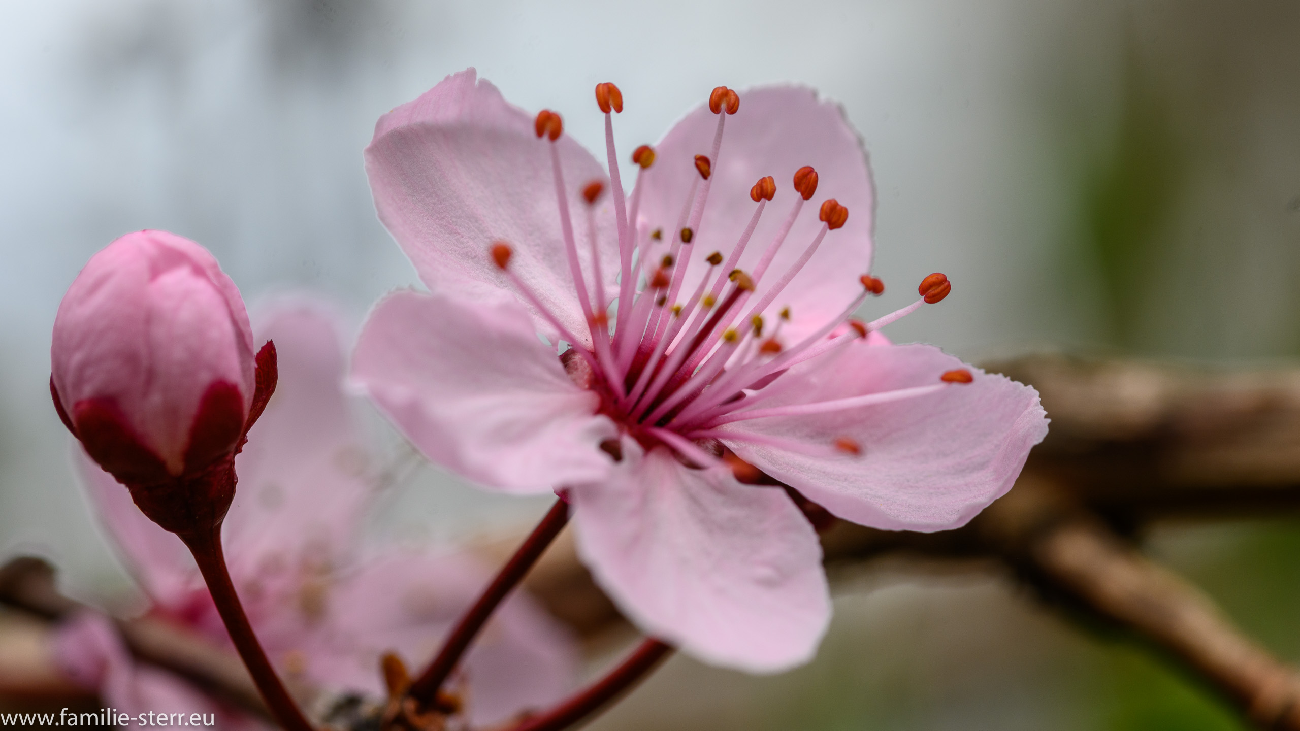 Sichtungsgarten Freising / Weihenstephan