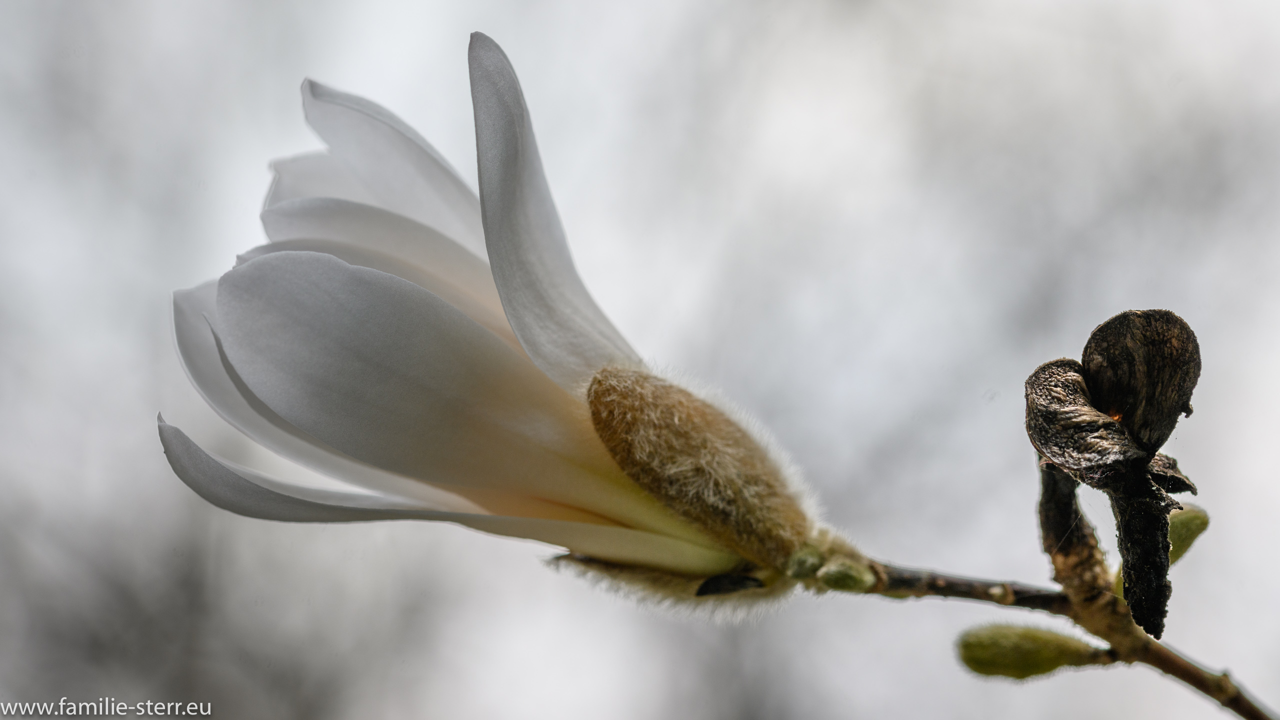Sichtungsgarten Freising / Weihenstephan