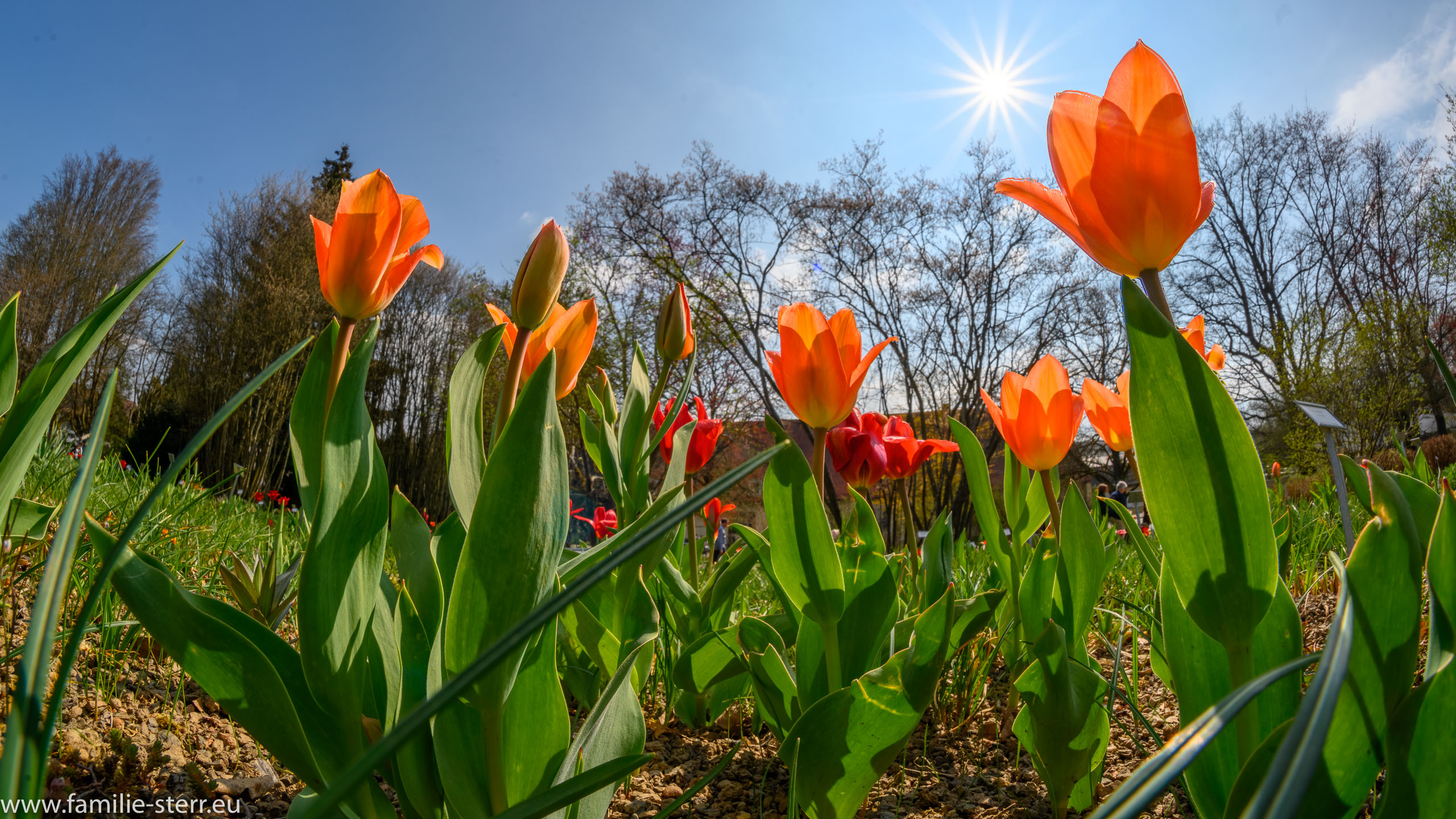 Sichtungsgarten Freising / Weihenstephan