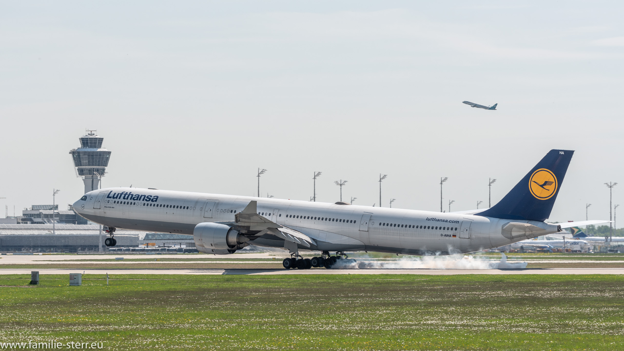 D-AIHA