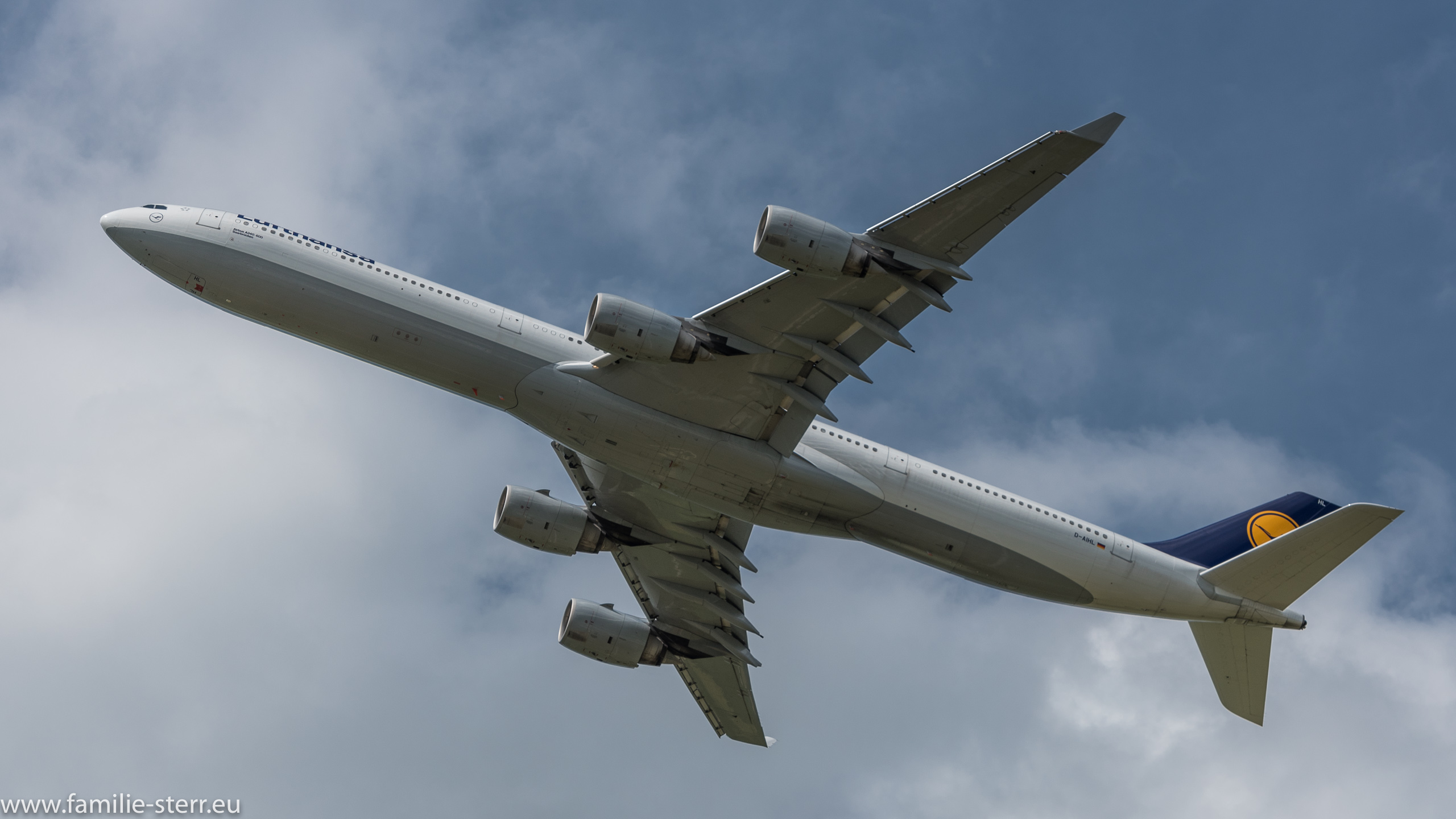 D-AIHL
