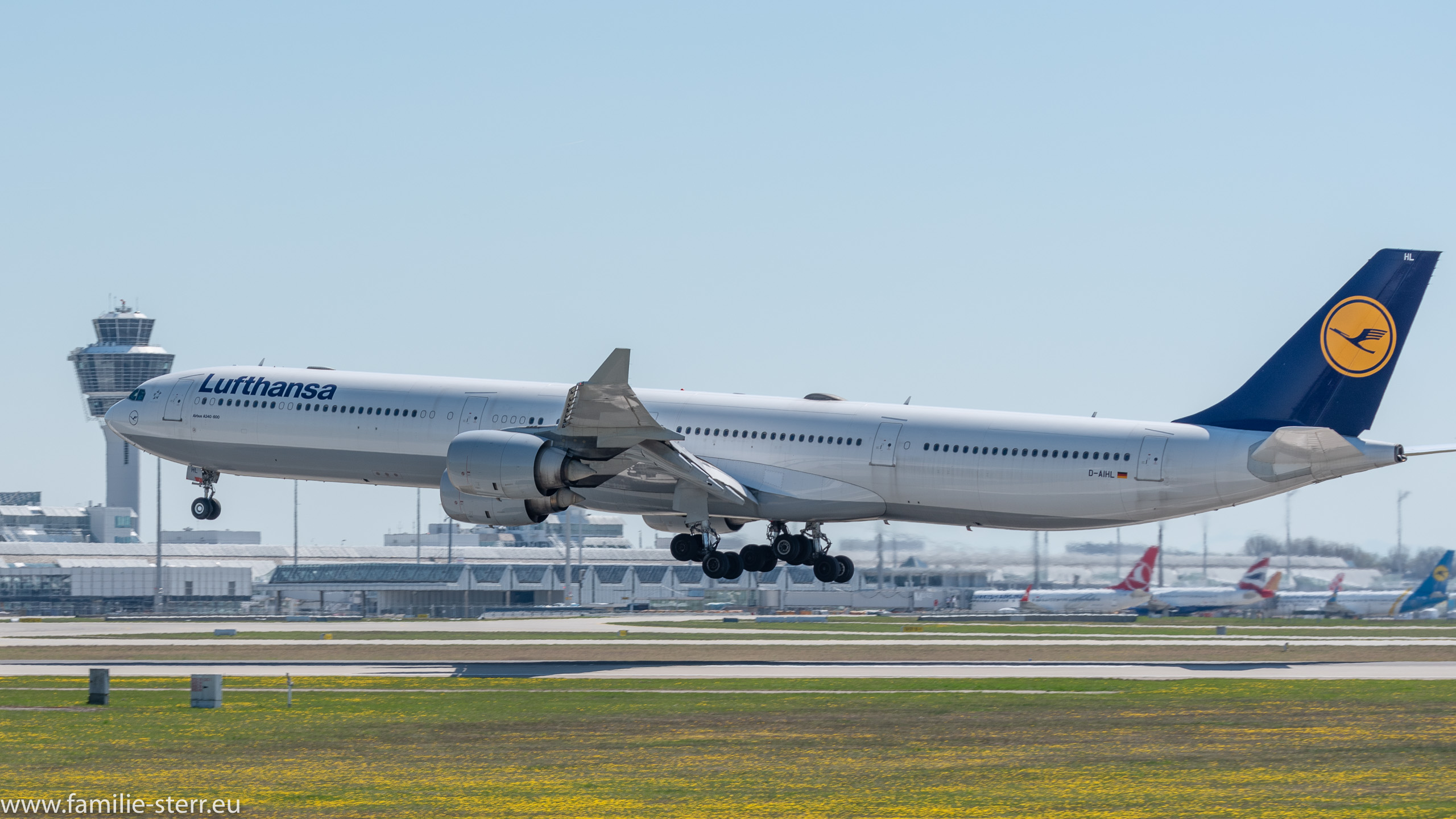 D-AIHL