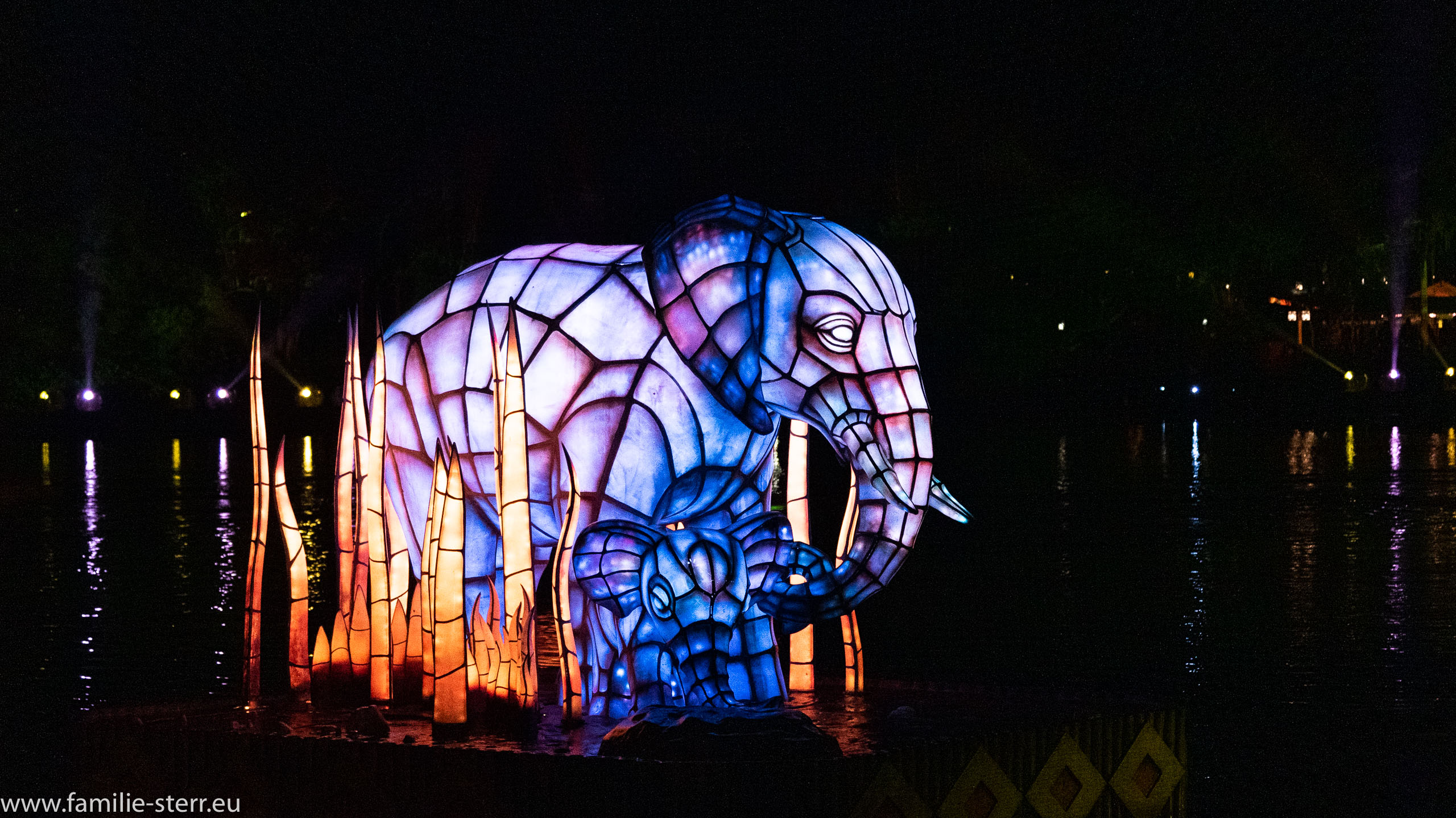 Rivers of Light