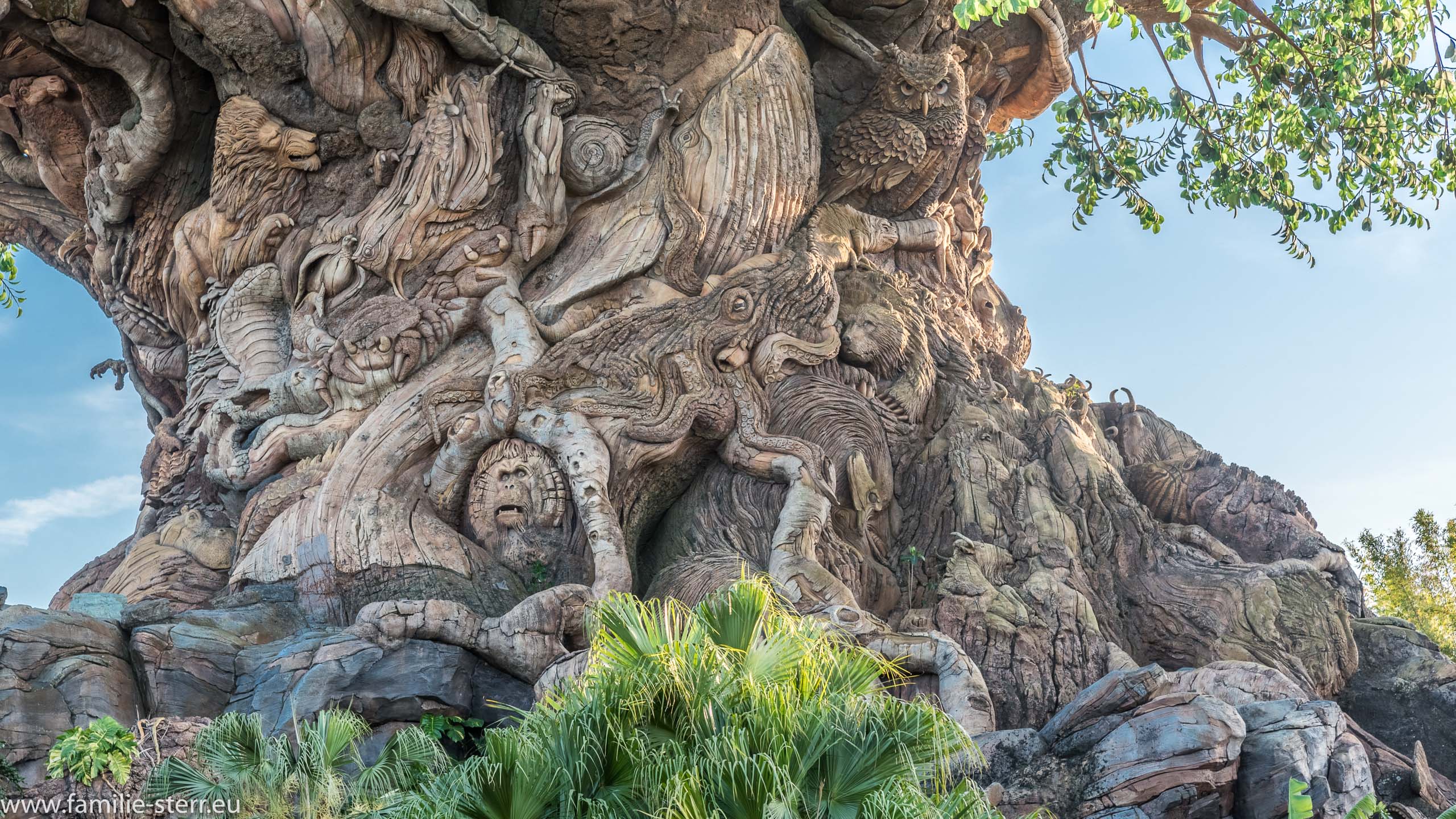 Animal Kingdom