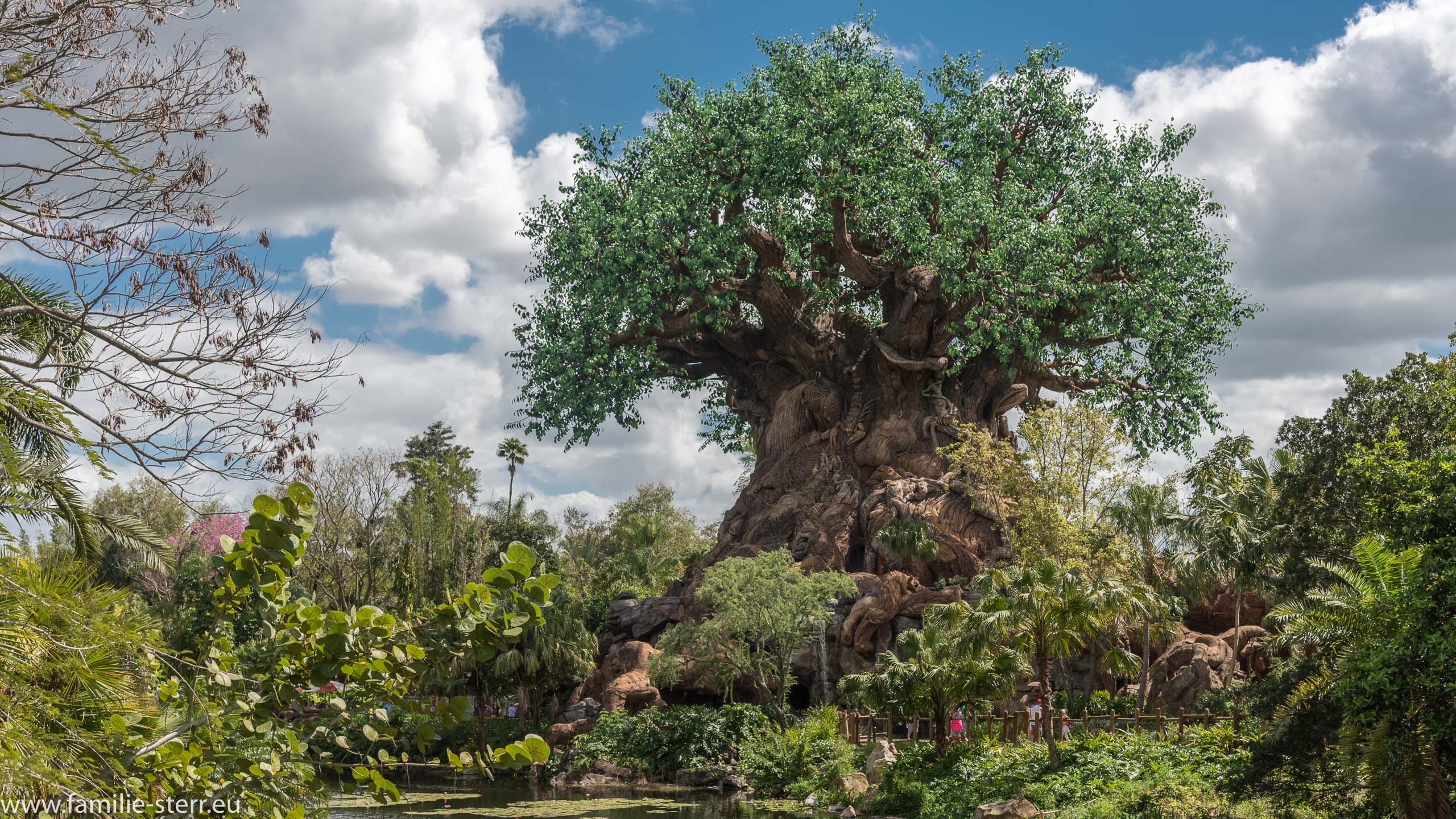 Animal Kingdom
