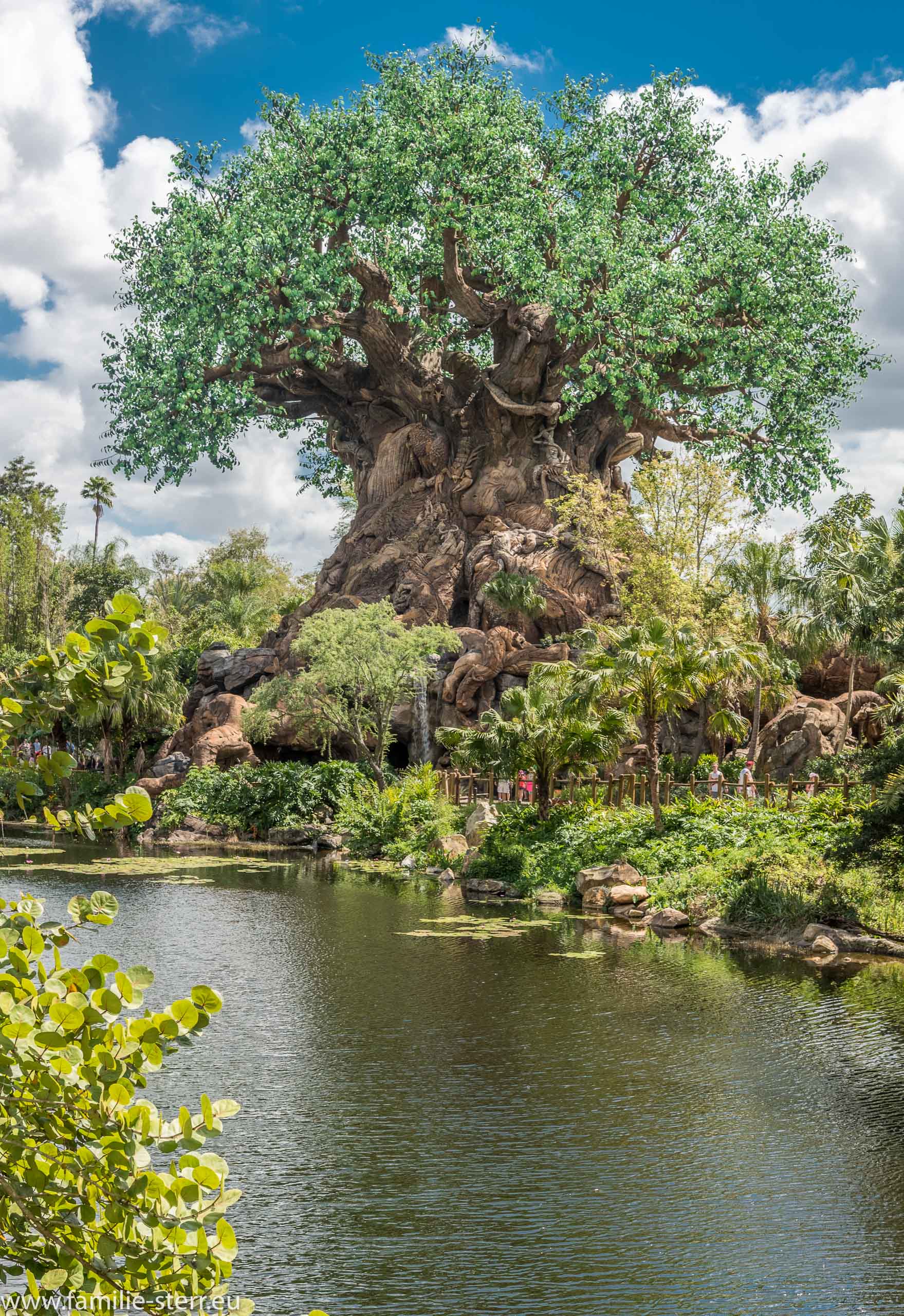 Animal Kingdom